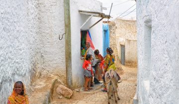 A colorful narrow street inside Harar Jugol
